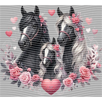 Valentine's Day-QRJ  5867